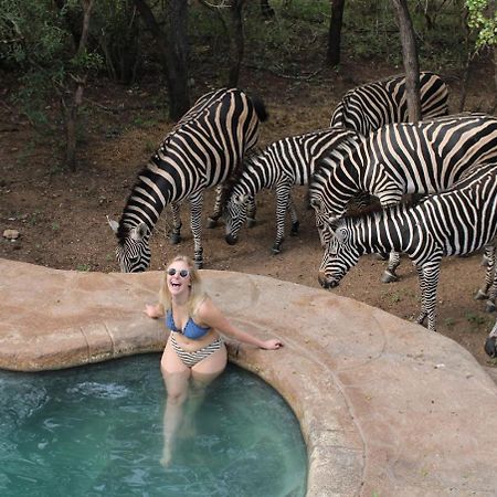 Kruger Park Hostel Marloth Park Exterior foto